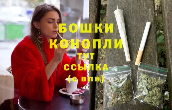 apvp Новозыбков