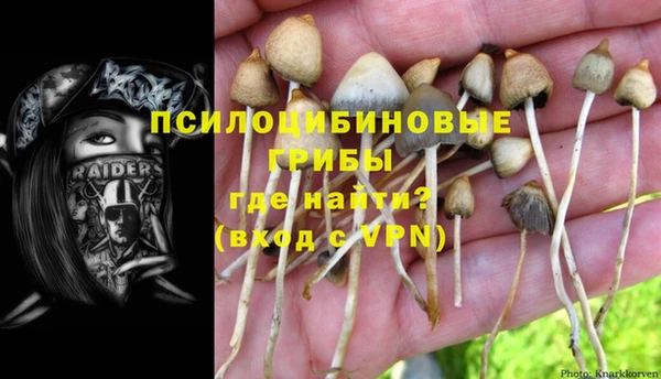 альфа пвп Нея