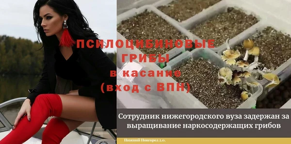 каннабис Нефтекумск