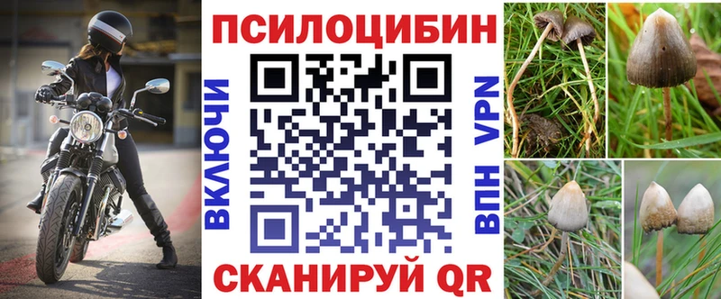 Псилоцибиновые грибы Cubensis  кракен зеркало  Кяхта 